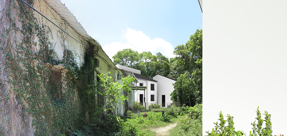 Ham Tin, Tai Long, Sai Kung | Regeneration | ��^�j�����w�г� | ���v��������